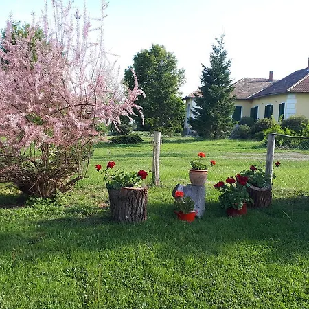 Vendektanya Vendeghaz