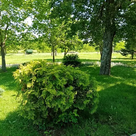 Guest house Vendektanya Vendeghaz 3*