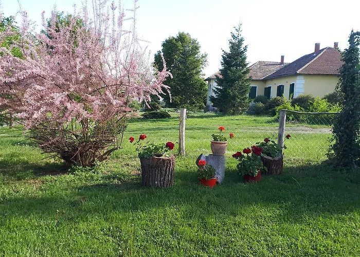 Vendektanya Vendeghaz